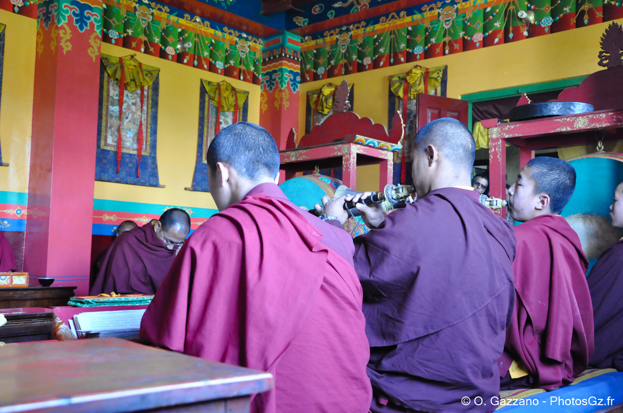 Moines bouddhistes en prière / Temple des Singes, Népal